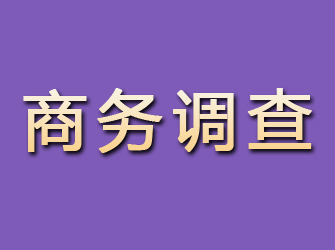 梅县商务调查